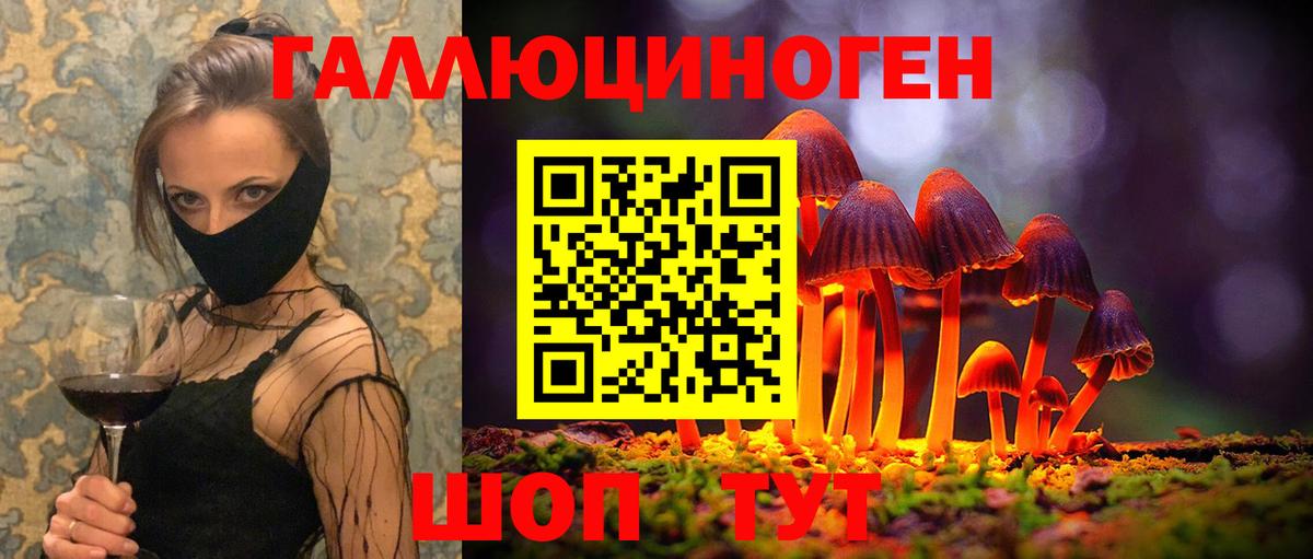 Каменск-Шахтинский  Галлюциногенные грибы GOLDEN TEACHER  Вход с VPN  Галлюциногенные грибы GOLDEN TEACHER 