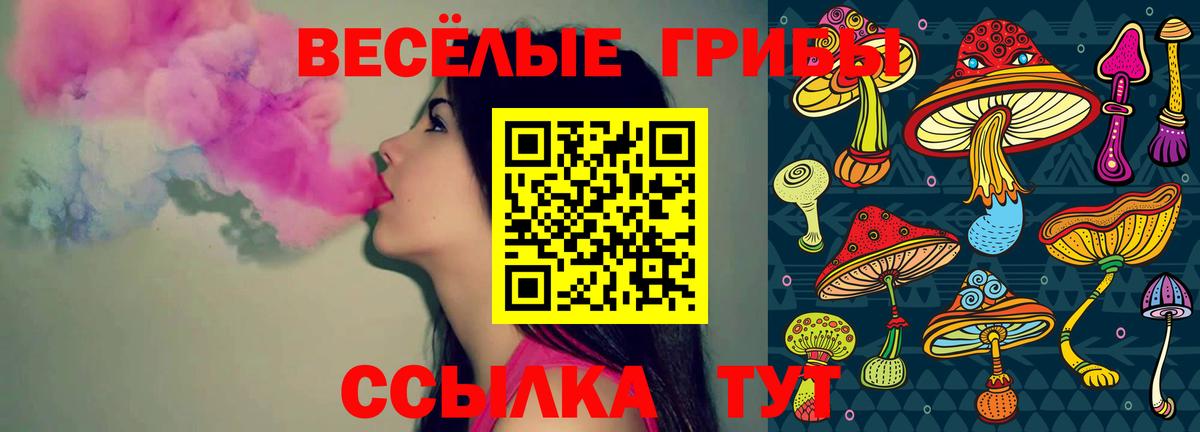 Галлюциногенные грибы MAGIC MUSHROOMS  Каменск-Шахтинский  Галлюциногенные грибы мицелий 